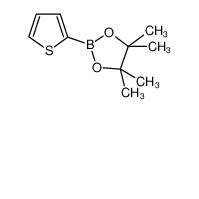 CAS 193978-23-3 2-Thiopheneboronic acid pinacol ester