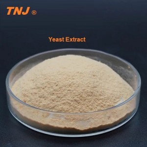 Yeast Extract Powder CAS 8013-01-2