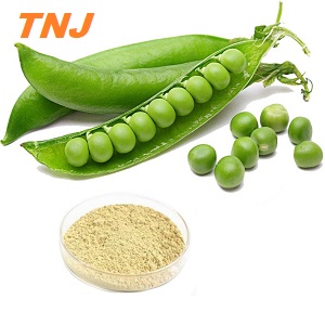 CAS 222400-29-5, Pea Protein