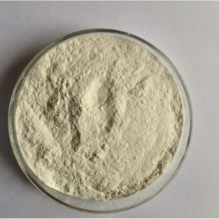 Carboxymethyl Hydroxypropyl Guar Gum CMHPG CAS 68130-15-4 Featured Image