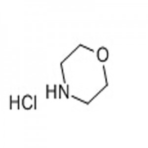 Morpholine hydrochloride CAS 10024-89-2
