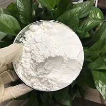 Sulfacetamide Sodium Salt CAS 127-56-0